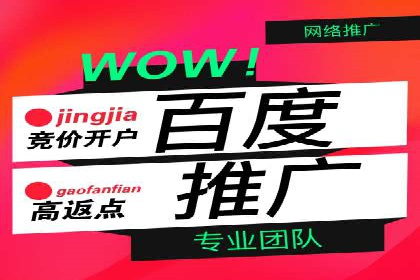 案例分析：百度广告竞价助力电商企业提升销售额